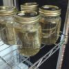 Buy pure thc oil