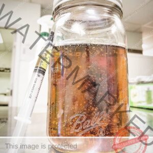 best place to buy thc oil