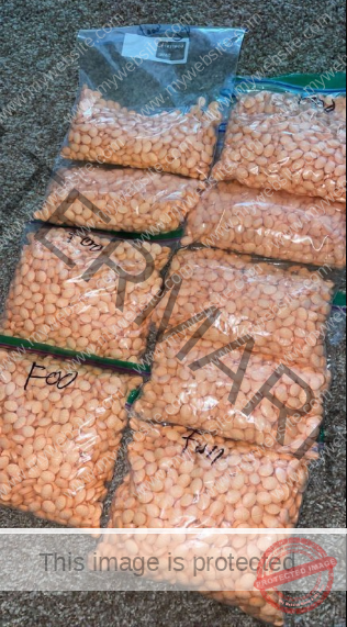 Where to buy cheap adderall xr